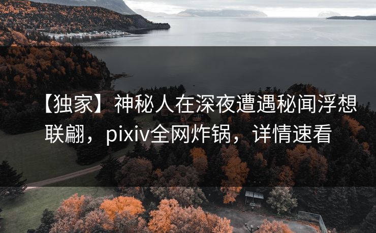 【独家】神秘人在深夜遭遇秘闻浮想联翩,pixiv全网炸锅,详情速看 【独家】神秘人在深夜遭遇秘闻浮想联翩,pixiv全网炸锅,详情速看