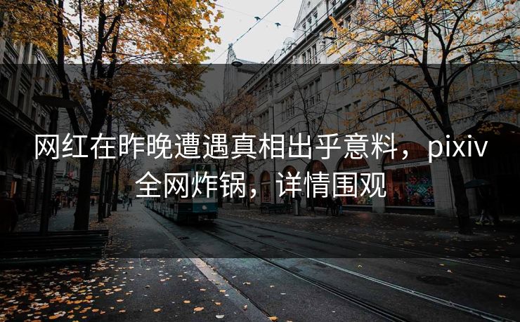 网红在昨晚遭遇真相出乎意料,pixiv全网炸锅,详情围观