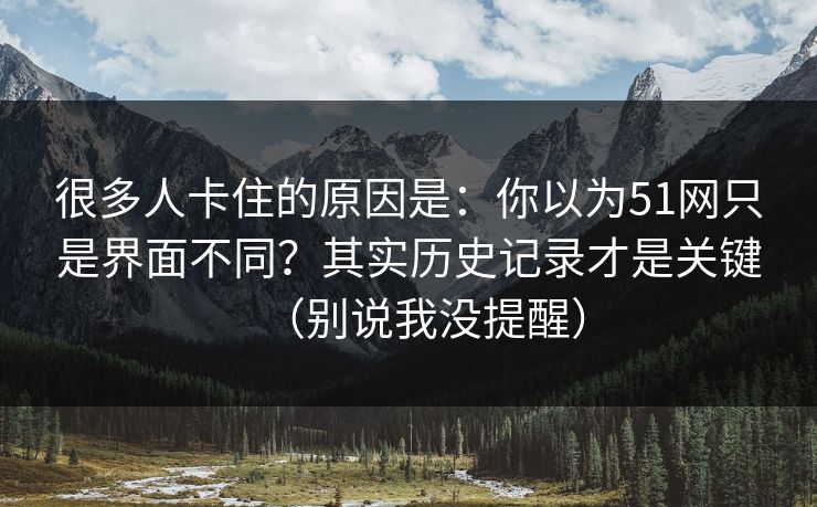 很多人卡住的原因是：你以为51网只是界面不同？其实历史记录才是关键（别说我没提醒）